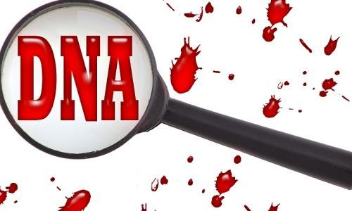 معلومات عن الـ DNA
