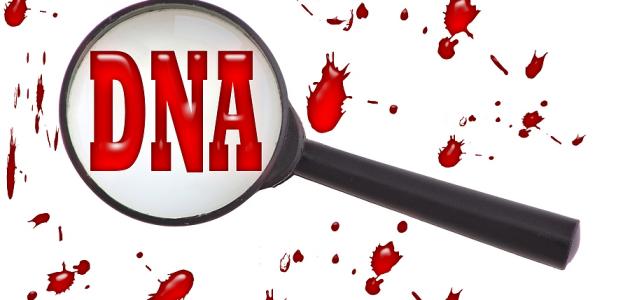 معلومات عن الـ DNA